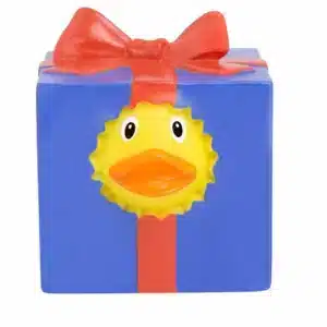 Gift duck
