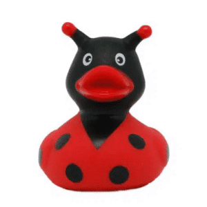 Ladybug Duck
