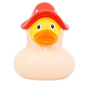 Fly Agaric duck
